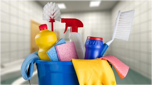 Cleaning products and tools used for pet stain odour removal