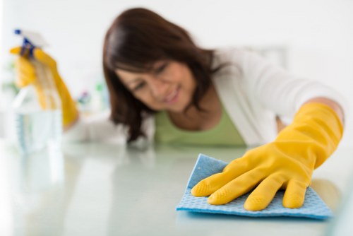 Professional carpet cleaning service focused on fabric care and freshness