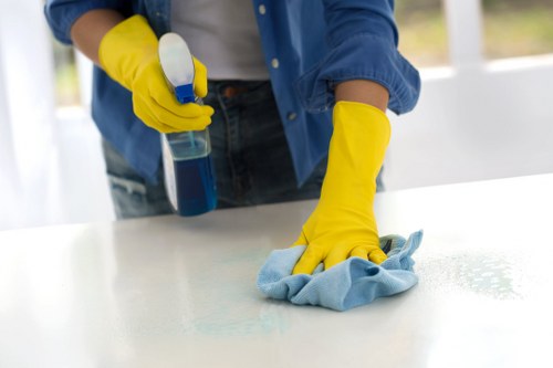 Final review of terms and conditions for a carpet cleaning service